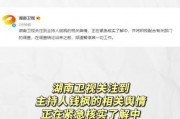 娱乐圈吃瓜爆料文案模版